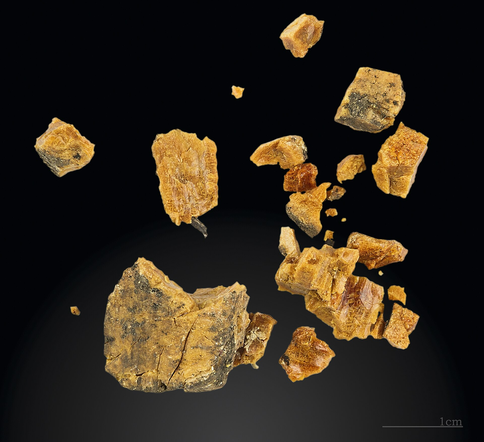amber resin fossil
