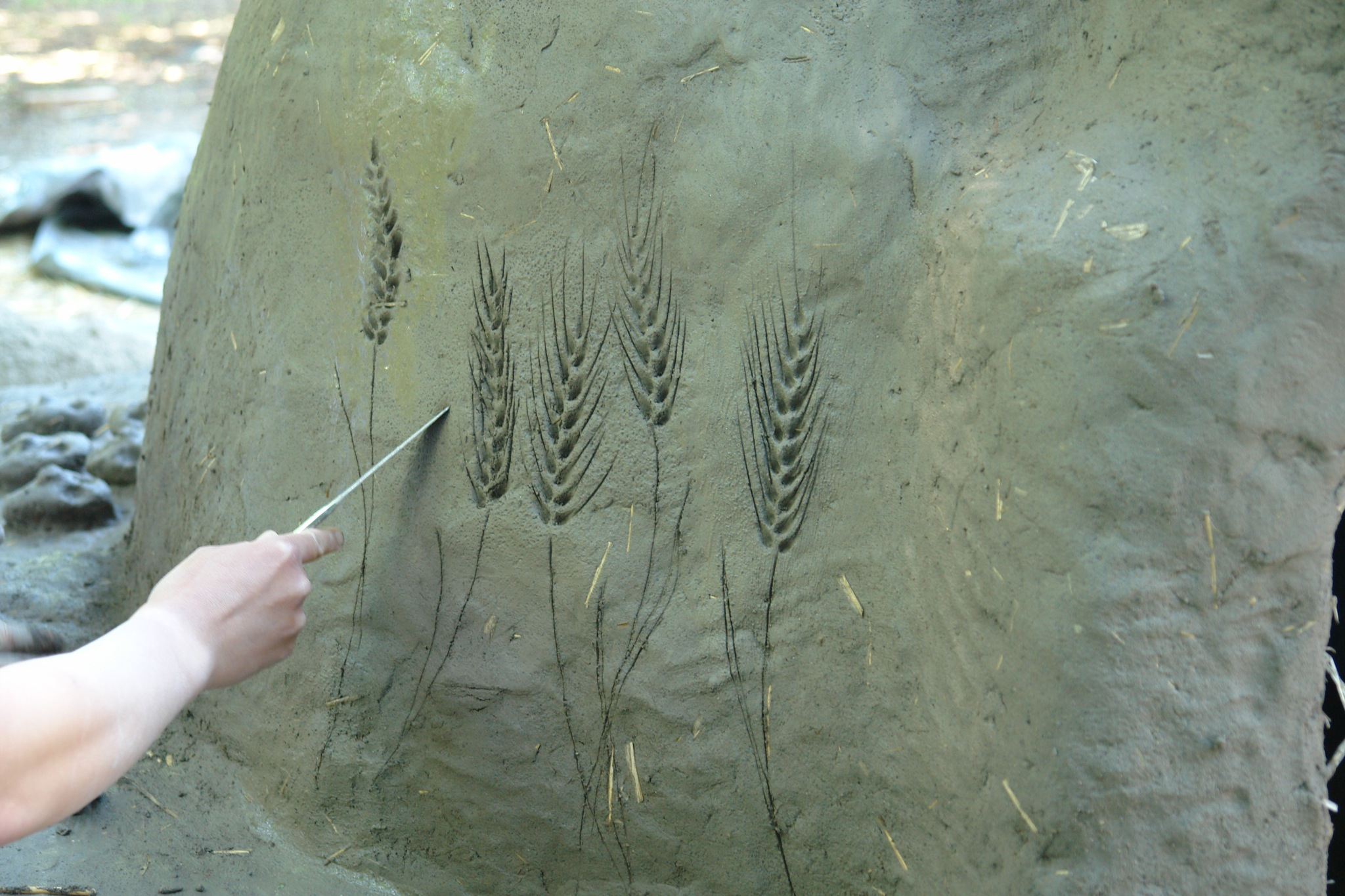 cob
