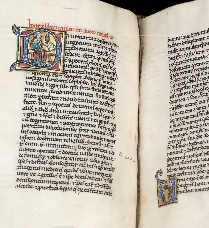 manuscript