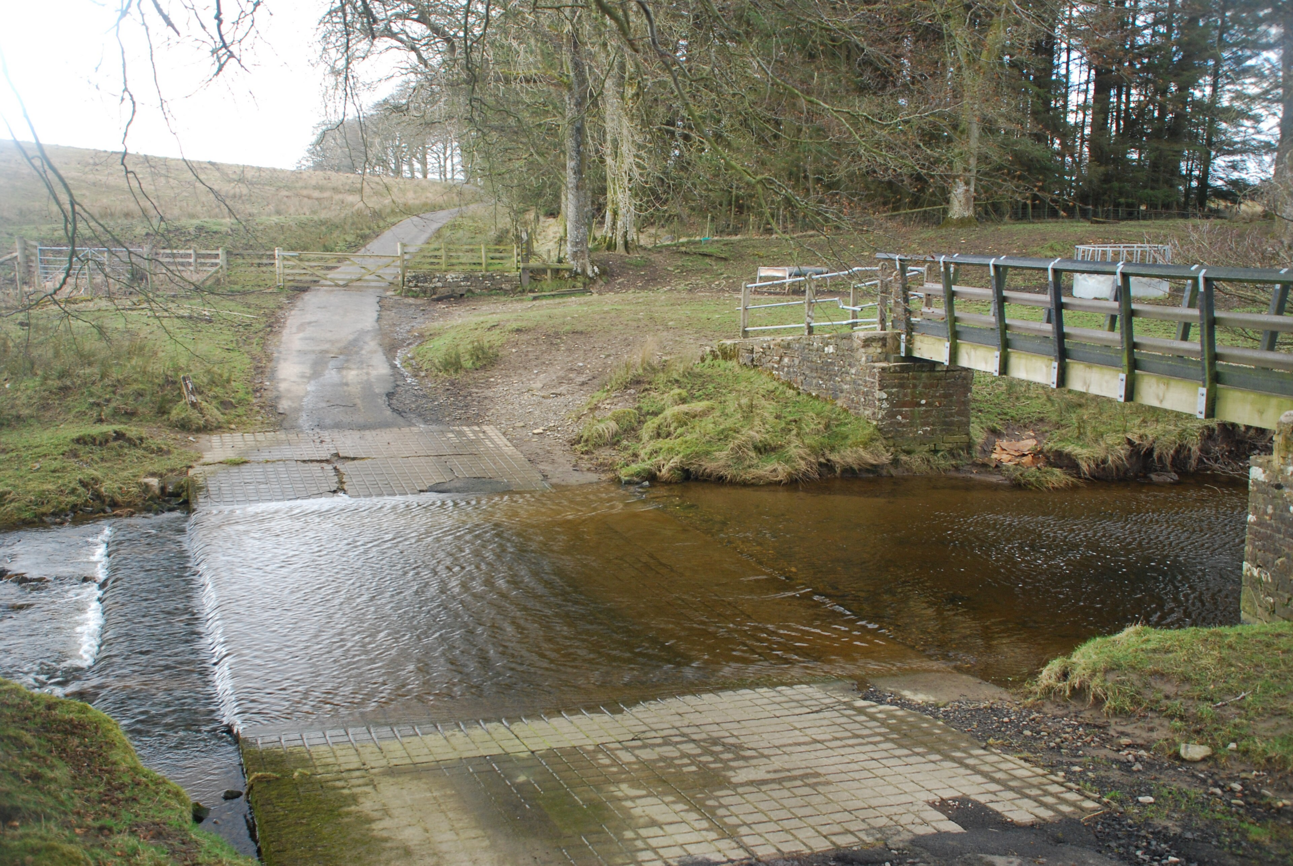 Water Crossing