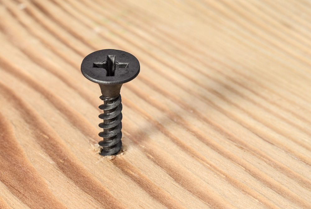 Phillips Screw