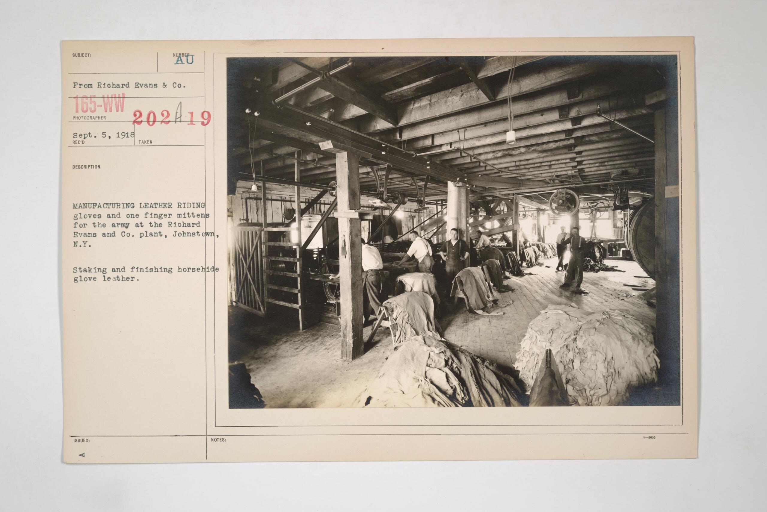 Glove Factory