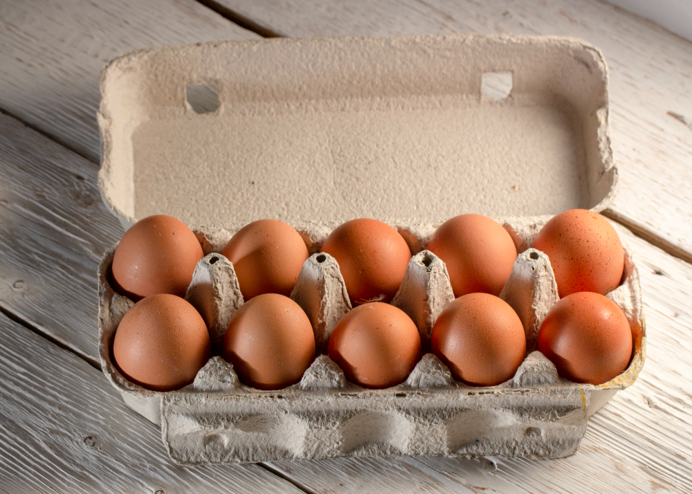 Egg Carton