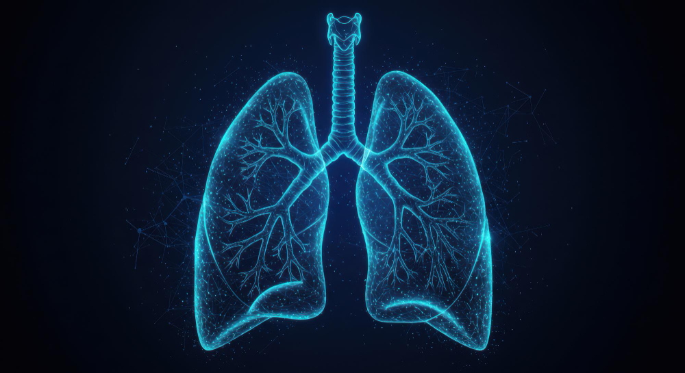 Lungs
