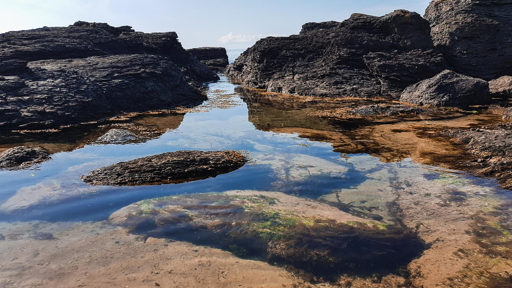 rock pool