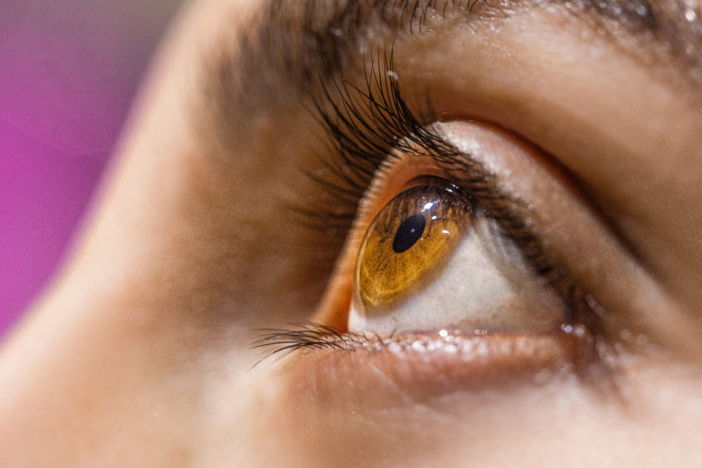 human eye