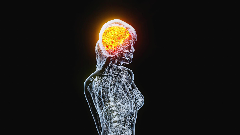 brain