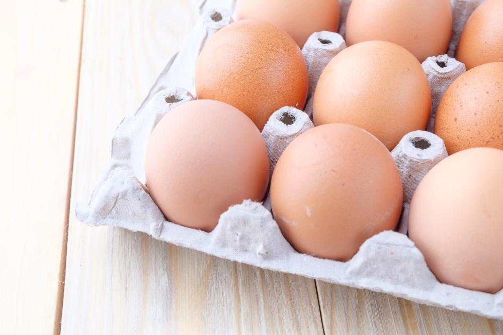 Egg Carton