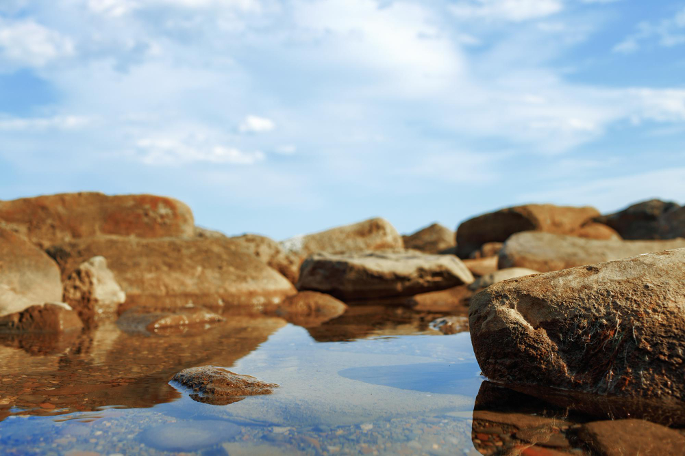 rock pool