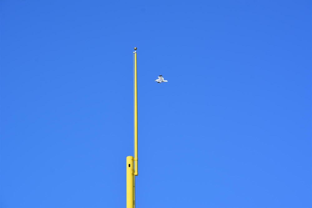 Lightning Rod