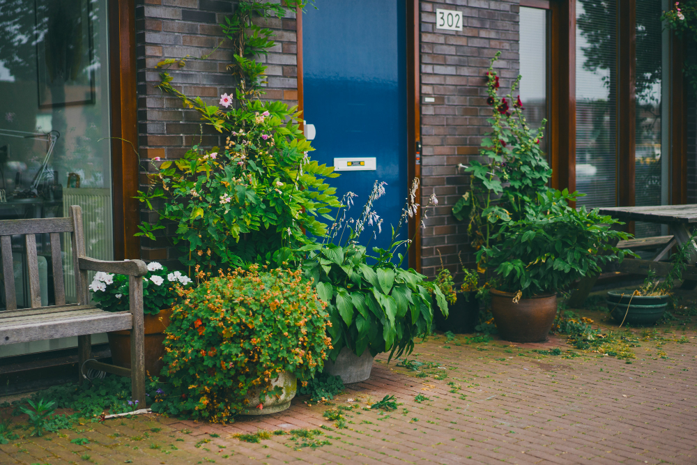 Front Garden
