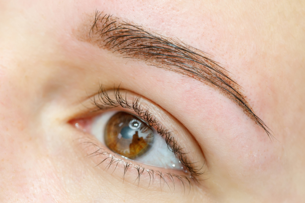 Eyebrows