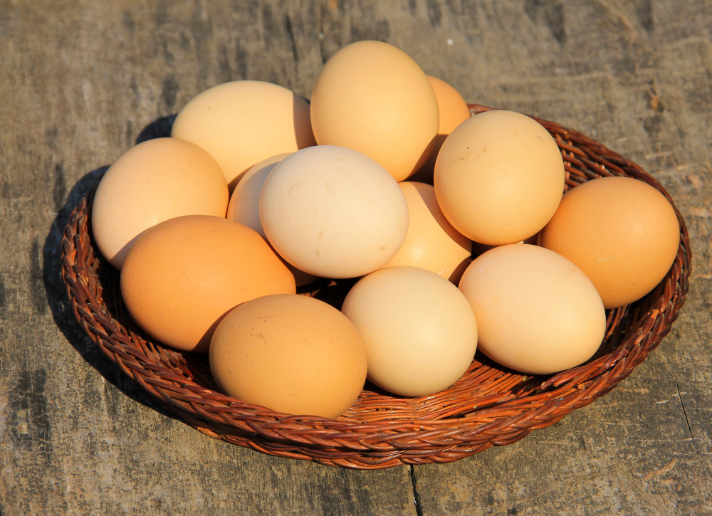 Eggs