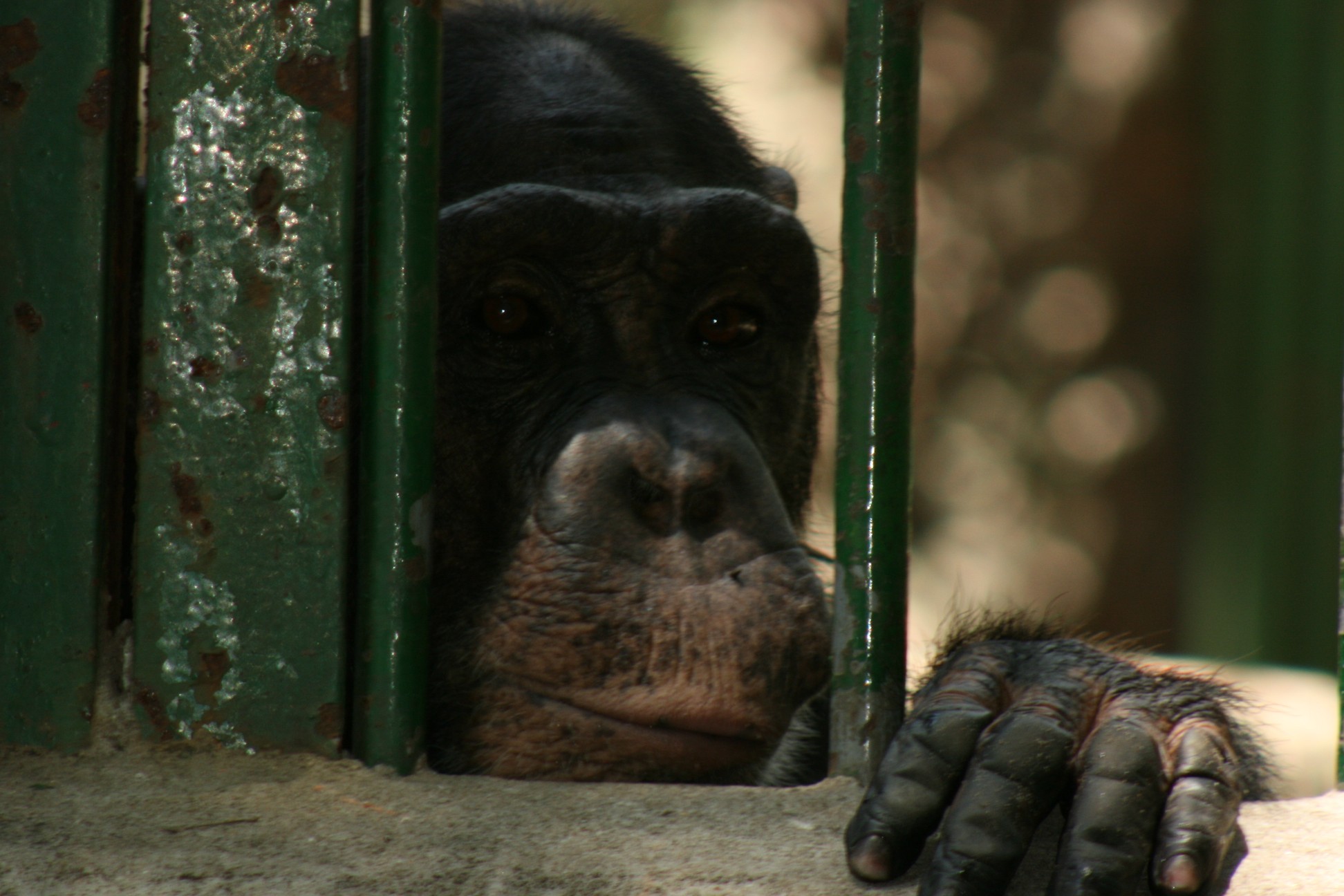Zoo