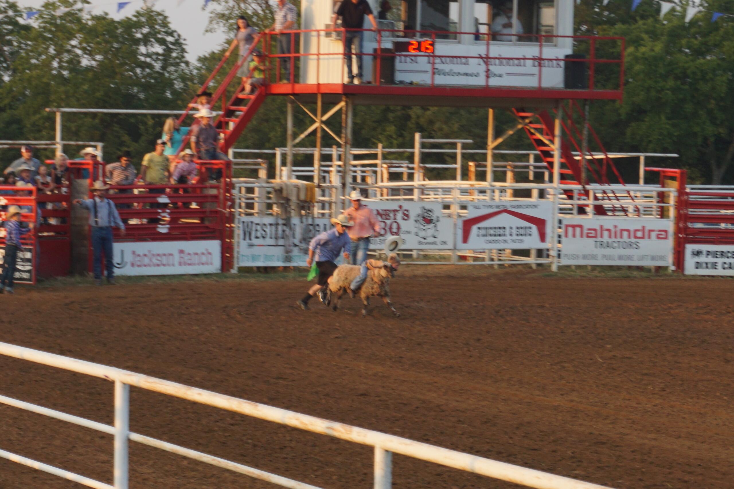 Rodeo