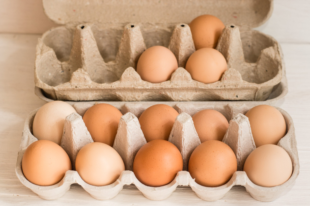Egg Carton