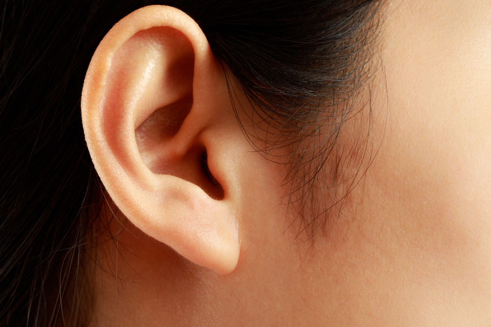 Ear