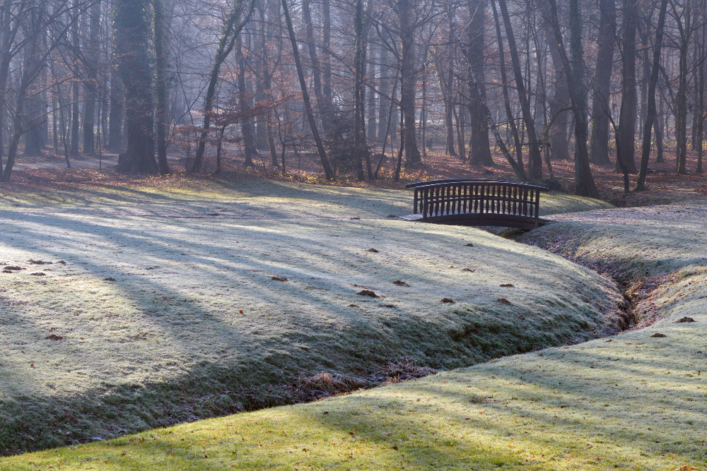 garden frost