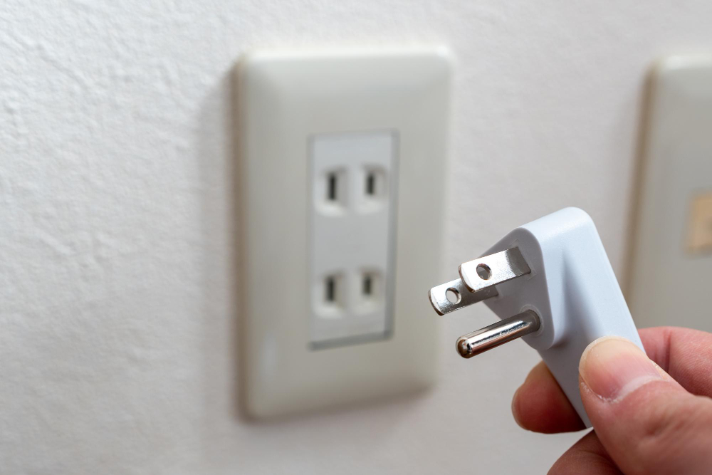 Plug