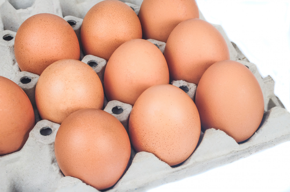 Egg Carton