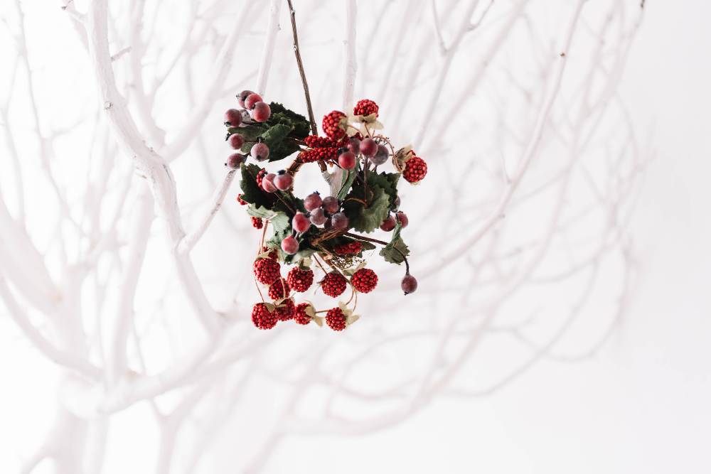 Mistletoe