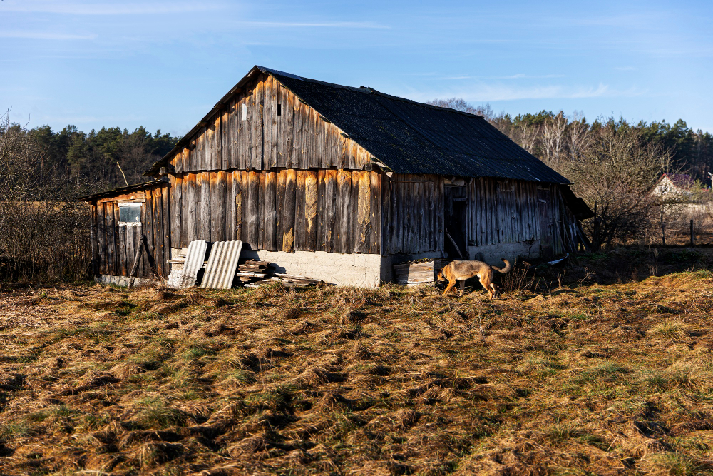 barn