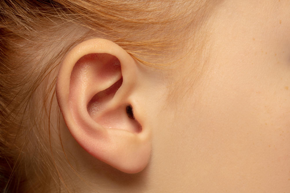 Ear