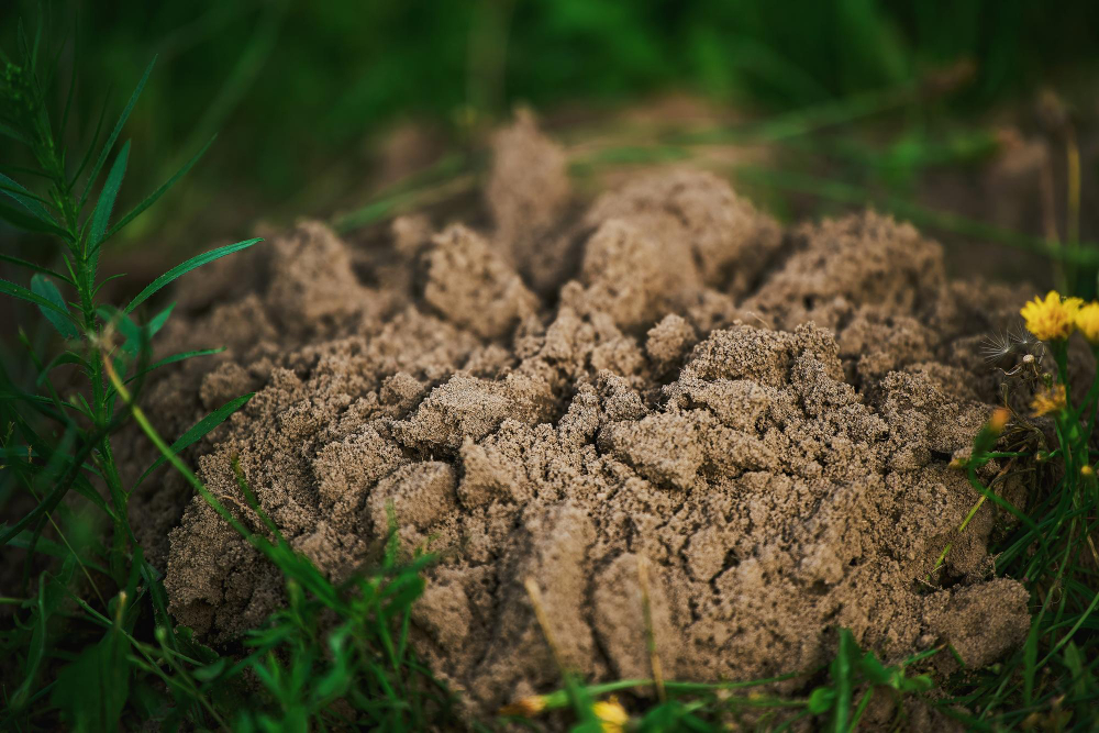Molehill