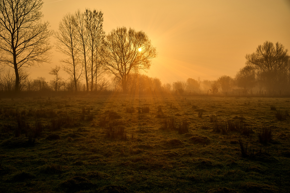 Dawn