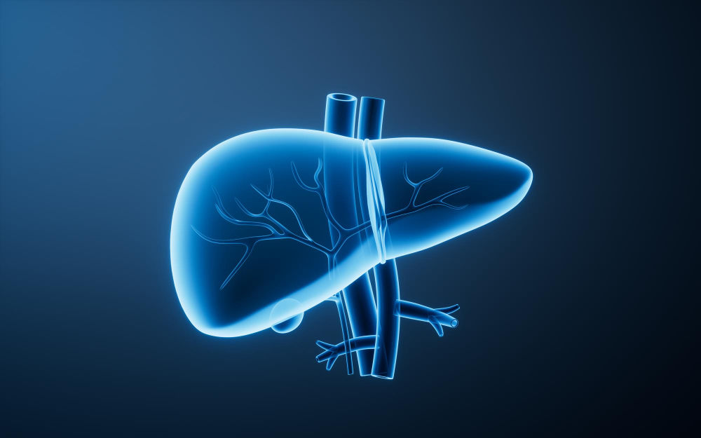 human liver