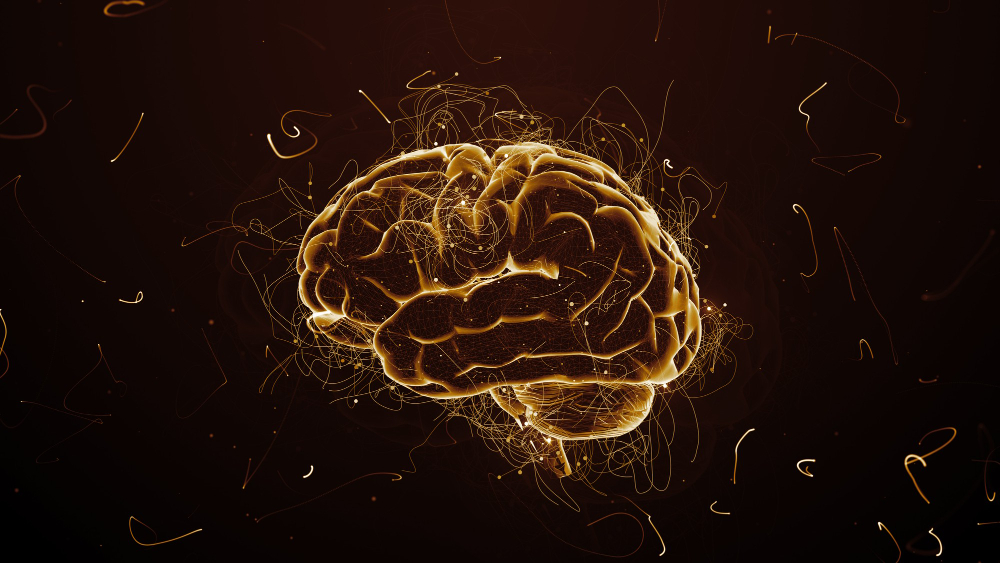 Brain