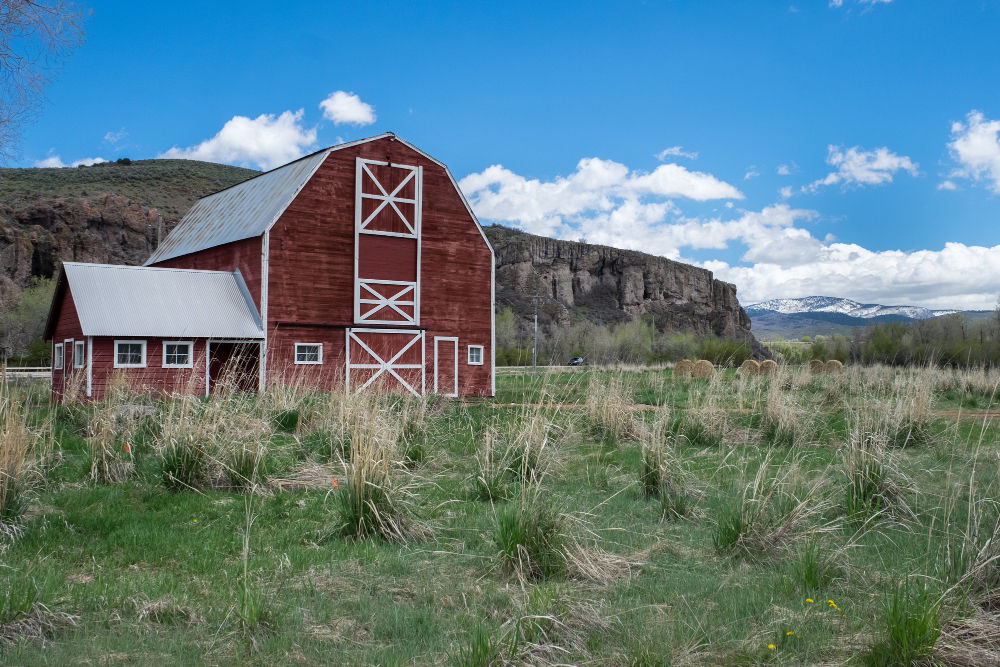 barn