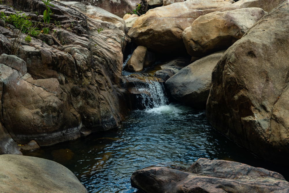 rock pool