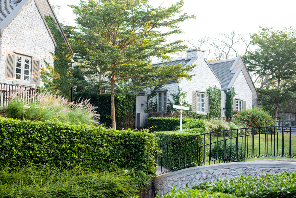 Front Garden