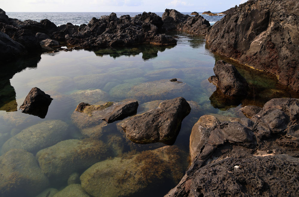 rock pool