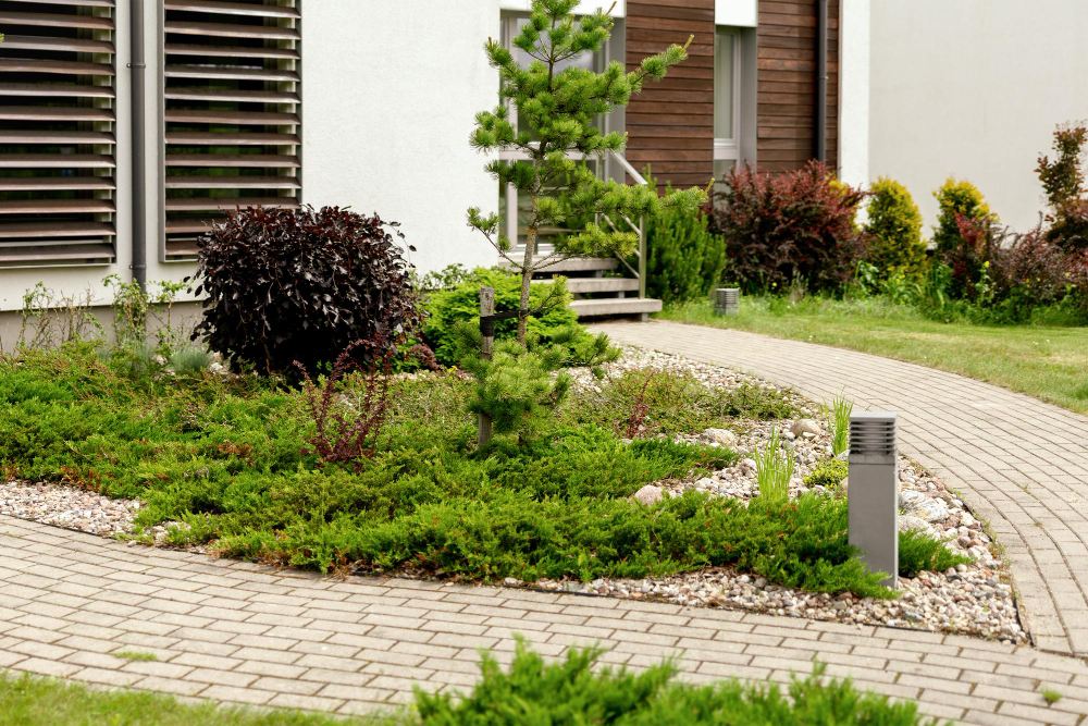 Front Garden