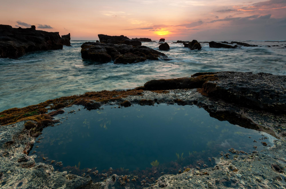 rock pool