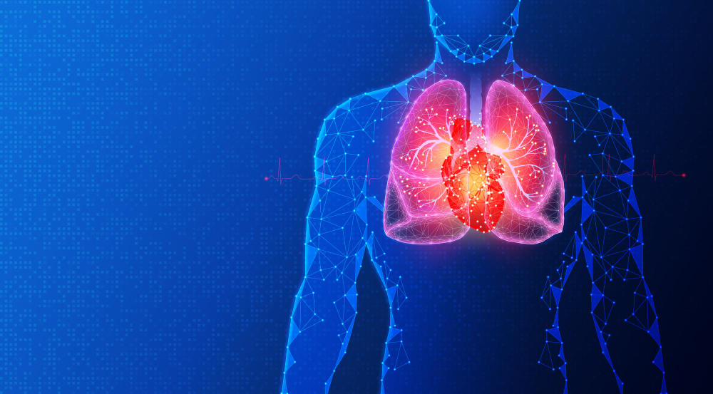 Lungs