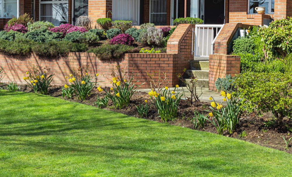 Front Garden