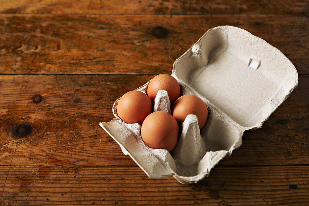 Egg Carton