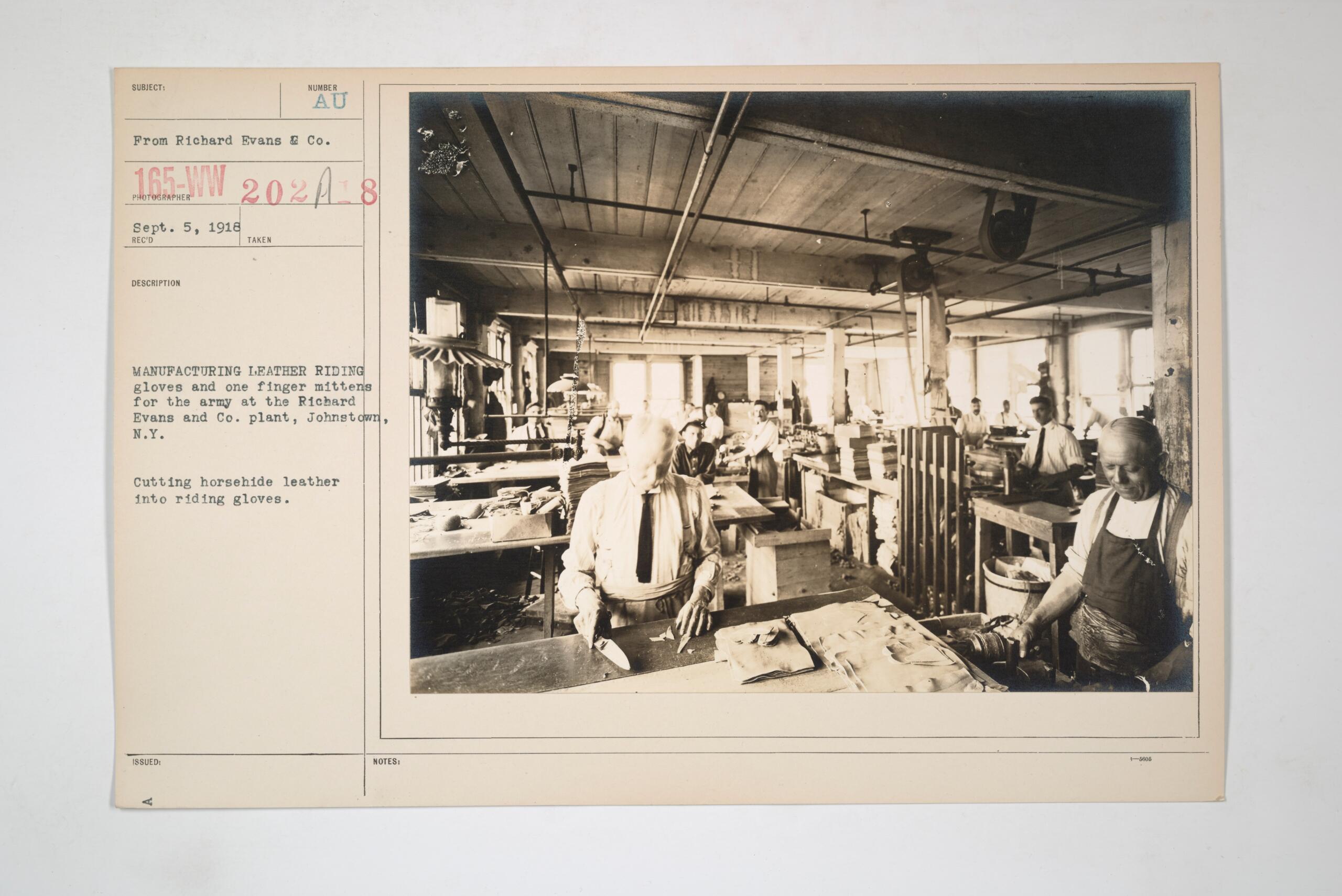 Glove Factory