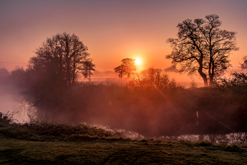 Dawn
