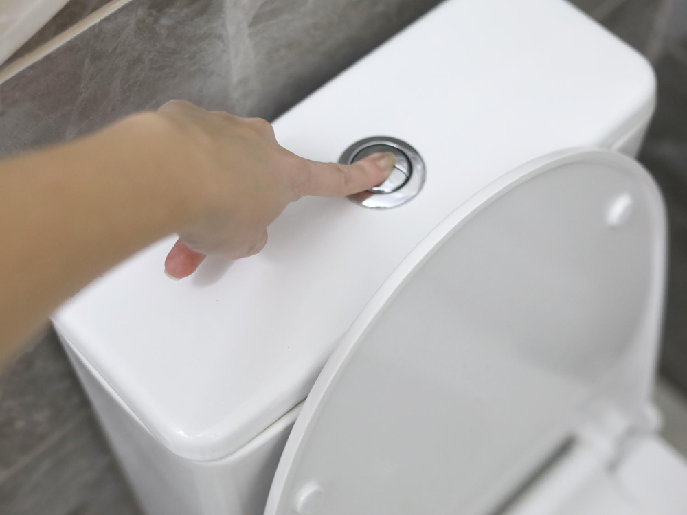 Two Buttons toilet