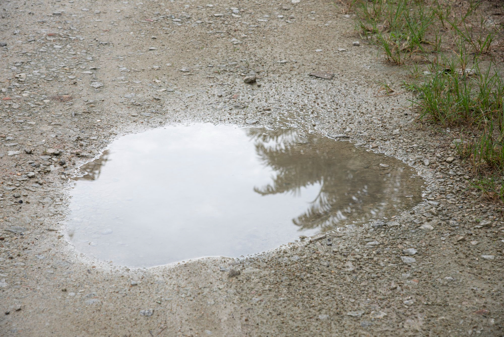 11 Things a Puddle Is Telling You About the Ground Underneath It