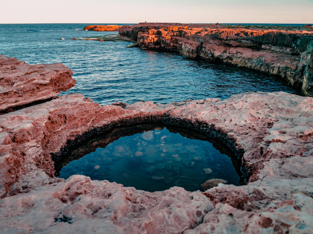 17 Things About a Rock Pool, Starting With It Being the Hardest Place to Live on the Whole Coast