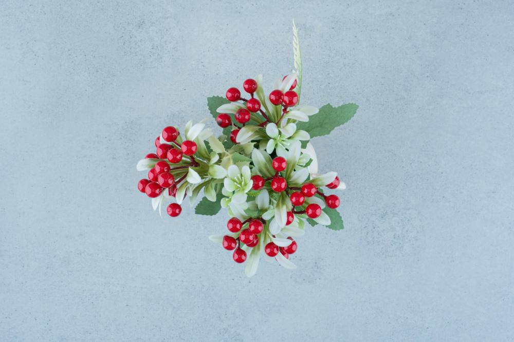 Mistletoe
