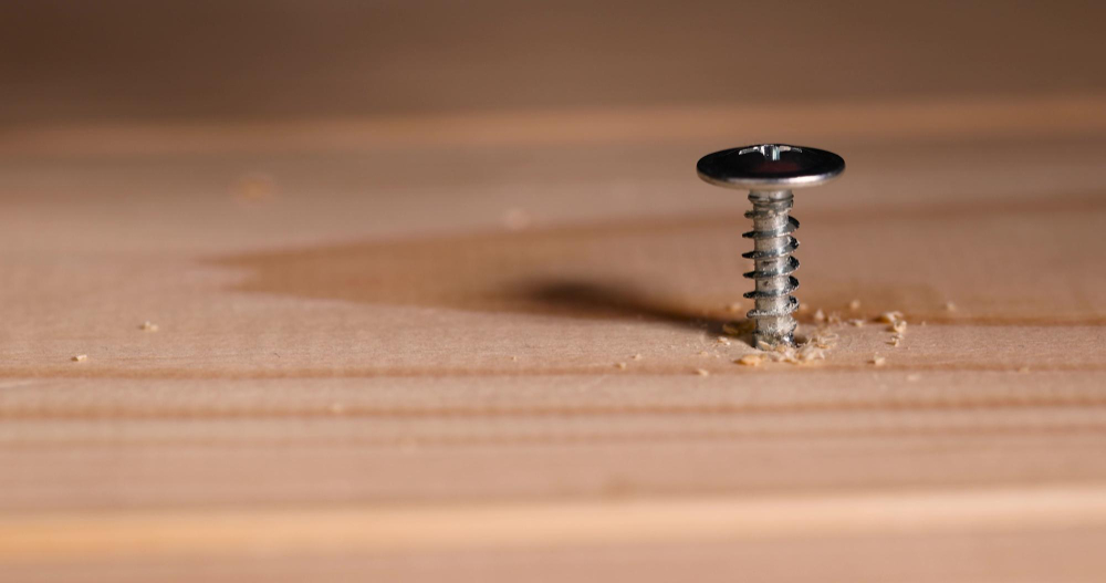 Phillips Screw