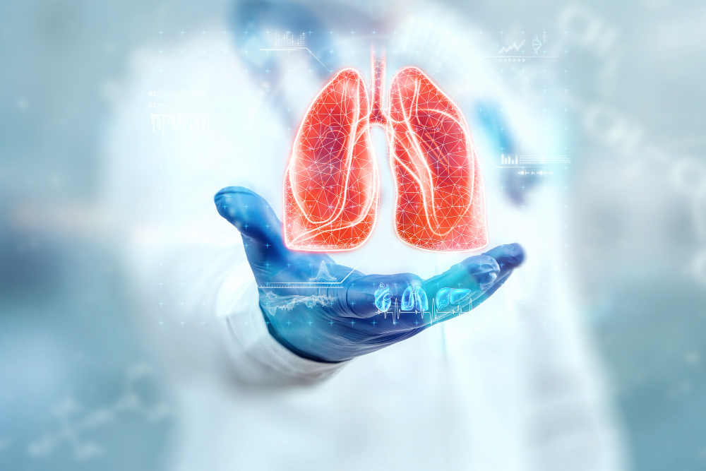 Lungs
