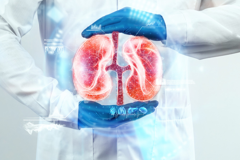 Kidneys