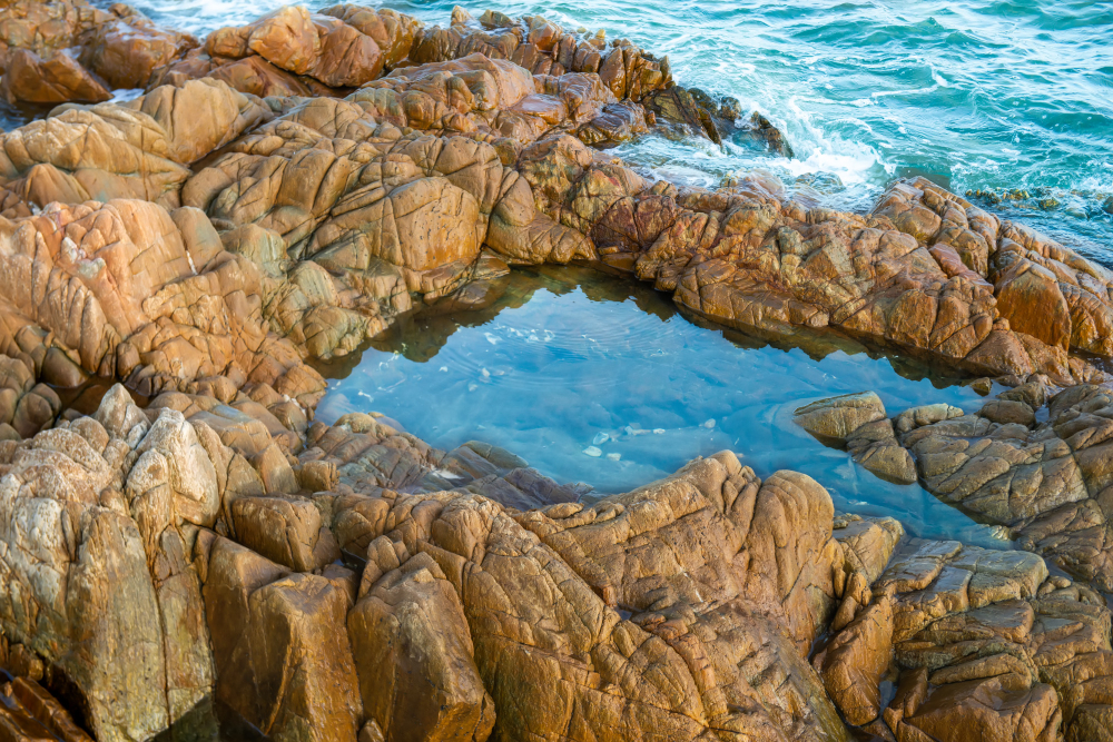 rock pool